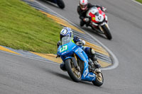 PJ-Motorsport-2019;anglesey-no-limits-trackday;anglesey-photographs;anglesey-trackday-photographs;enduro-digital-images;event-digital-images;eventdigitalimages;no-limits-trackdays;peter-wileman-photography;racing-digital-images;trac-mon;trackday-digital-images;trackday-photos;ty-croes
